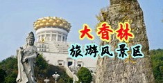 操大鸡巴平台中国浙江-绍兴大香林旅游风景区